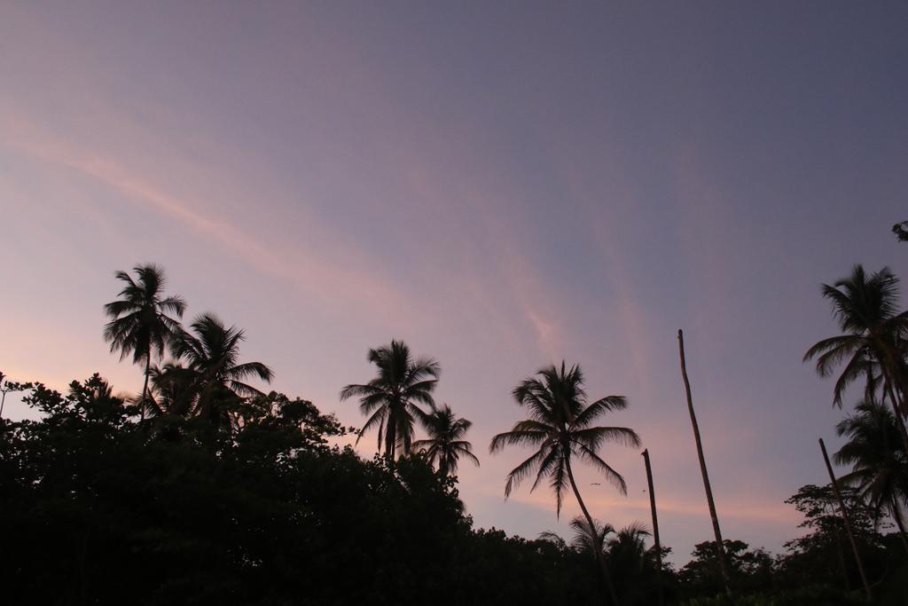 Magellan Boutique Hotel Cahuita Exterior photo